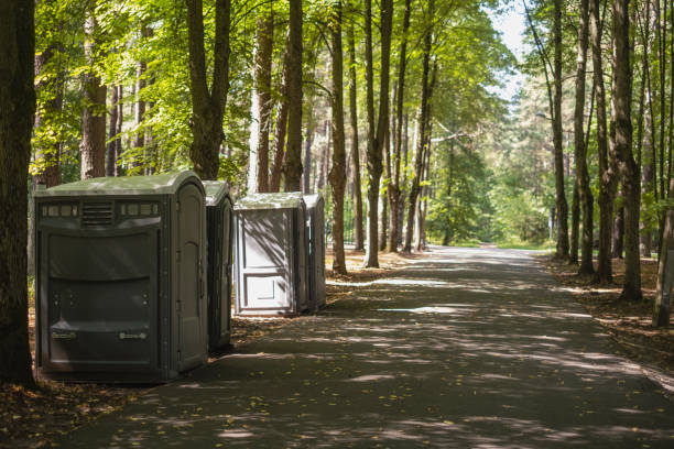 Best Local porta potty services  in Mount Vernon, TX